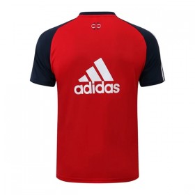 FC Bayern de Múnich Camiseta De Entrenamiento 2022/23 Azul Roja